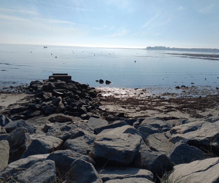 Coast 768x644